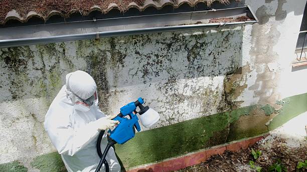 Top rated local Attic Mold Remediation specialists in Boswell, PA